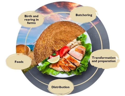 1636510453468418.png image.png