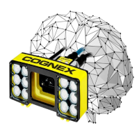 康耐視視覺AI技術(shù)實(shí)現(xiàn)更精準(zhǔn)的包裹分揀