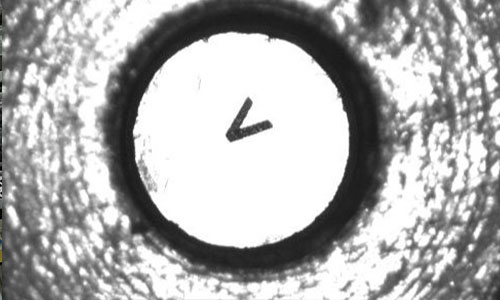 1616985539791546.jpg 未標題-1.jpg